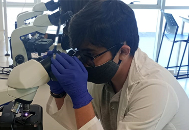 Abren convocatoria a programa dirigido a estudiantes con altas capacidades