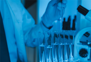 Con investigación de excelencia PUCV aporta al desarrollo de la región y el país