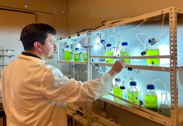Con IA mejoran bioprocesos de microalgas con gran aplicación en la industria