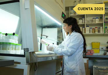 PUCV destaca como la tercera universidad con más adjudicación de Becas Chile