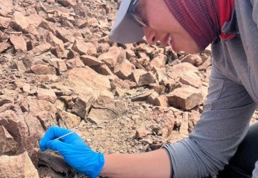 Pionera investigación busca conservar cactus endémico de Chile mediante bacterias benéficas