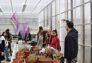 Valparaíso es el hogar de especie de orquídea en peligro crítico de extinción