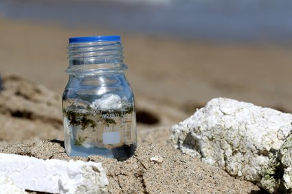 Desarrollo de nanotecnología busca solucionar el problema del plumavit en Chiloé