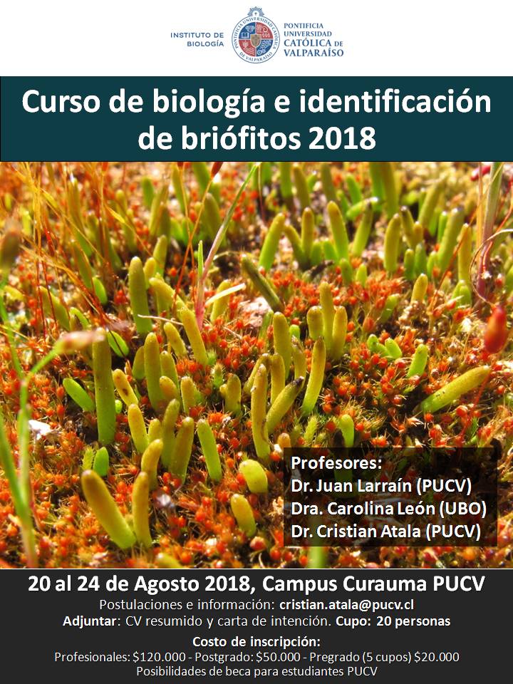 Imagen foto_00000001