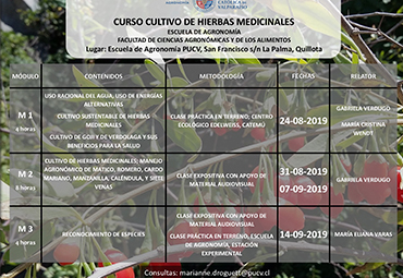 Curso: Cultivo de hierbas medicinales