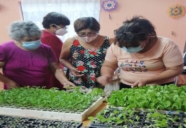 Escuela de Agronomía dona plantines para abastecer huertos comunitarios de Santa María atendidos por FUSUPO