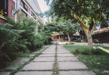 Formulario de Inscripción / Retiro de asignaturas 1° Semestre 2021