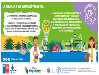 Nuevo contenido científico sobre sanidad vegetal llega a Metro Valparaíso