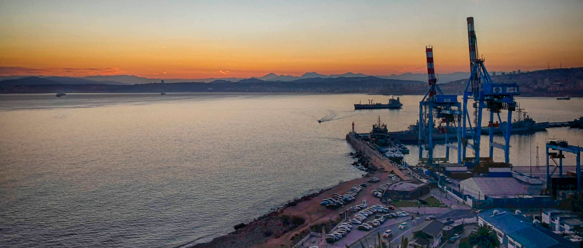 Anuario de investigación 2020