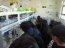   Estas son algunas de las fotografías de las visitas realizadas a la Facultad de Ciencias por estudiantes de distintos establecimientos educacionales de la V región. 