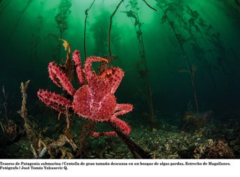 Escuela de Ciencias del Mar y Dirección de Vinculación Social y Sostenibilidad presentan muestra fotográfica en marco del Mes del Mar