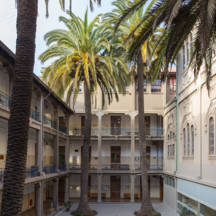 Consideraciones acerca de las medidas de protección y acompañamiento