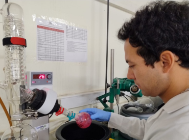 A través de hibridación molecular buscan mejorar tratamiento del cáncer de mama y colorrectal