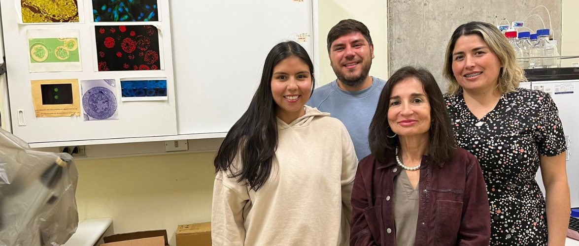 Ayen: Gel dental desarrollado en la PUCV llega al mercado de la mano de la empresa Santepharma