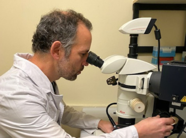 Desarrollo de los organismos exitosos sería la clave para entender la evolución