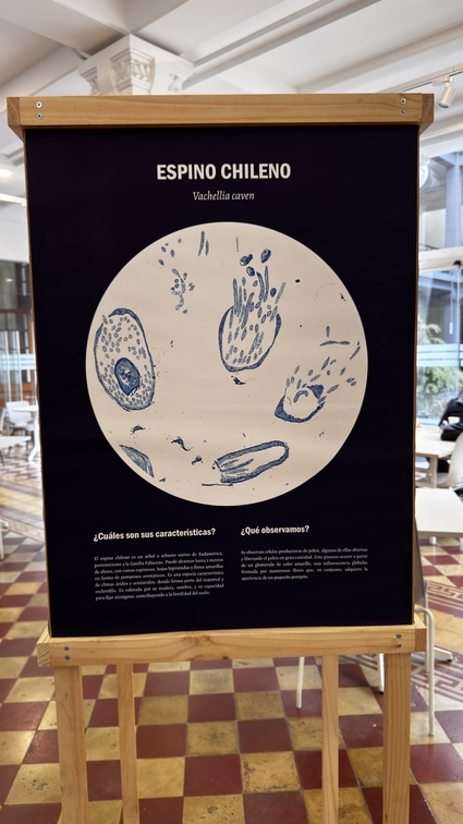 Egresados del Magíster en Ciencias Biológicas realizaron exposición de arte botánico de plantas endémicas de Valparaíso