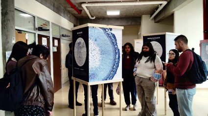 El Instituto de Biología celebra el “Día Internacional de la Fascinación por las Plantas”