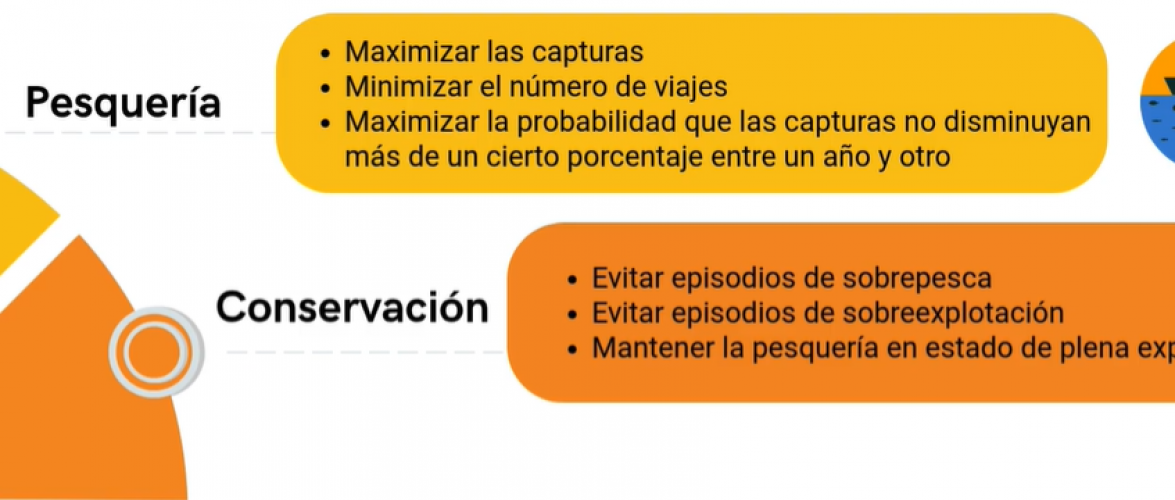 Nuevo video educativo explica cómo se diseñan estrategias de manejo sostenible en la pesquería de jurel