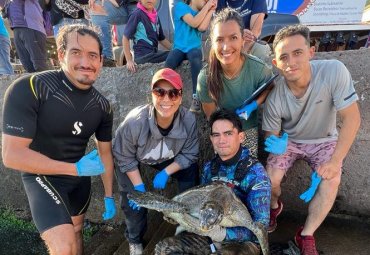 Profesora Rocío Álvarez Varas se adjudica fondo de investigación sobre subsidios alimentarios y contaminación por mercurio en Tortugas Verdes de Rapa Nui.
