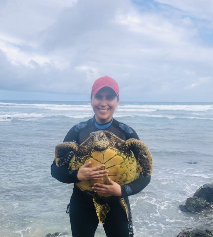 Profesora Rocío Álvarez Varas se adjudica fondo de investigación sobre subsidios alimentarios y contaminación por mercurio en Tortugas Verdes de Rapa Nui.