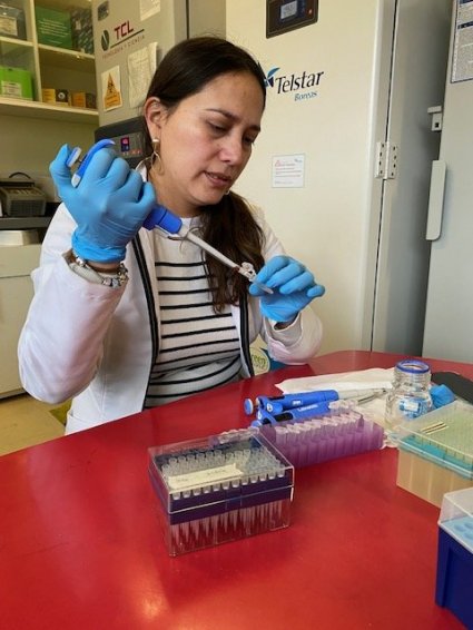 Desarrollan biofertilizante de amplio rango térmico que funciona en olas de calor