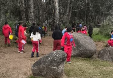 Profesora Érika Salas del Instituto de Biología PUCV se adjudicó Proyecto de Innovación Educativa de la Sociedad Chilena de Educación Científica 2025