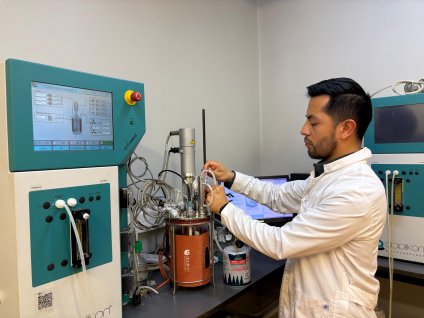 Proyecto plantea revalorizar residuos de la industria vitivinícola y utilizarlos en cosméticos, alimentos, biocombustible y biofertilizantes