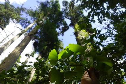 PUCV integra proyecto multinacional sobre reservas de la biósfera