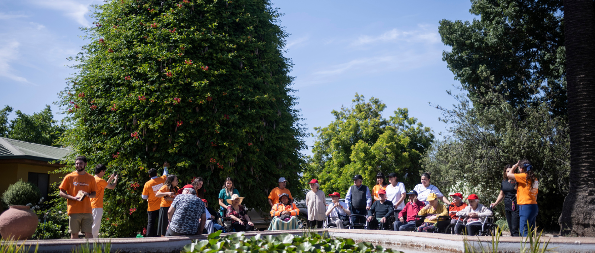 Entre árboles y memorias: un aprendizaje compartido en el Hogar San Alberto Hurtado
